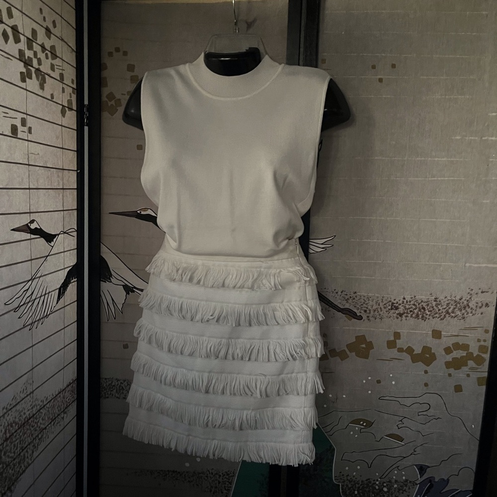 The Limited Fringe Skirt Size 14